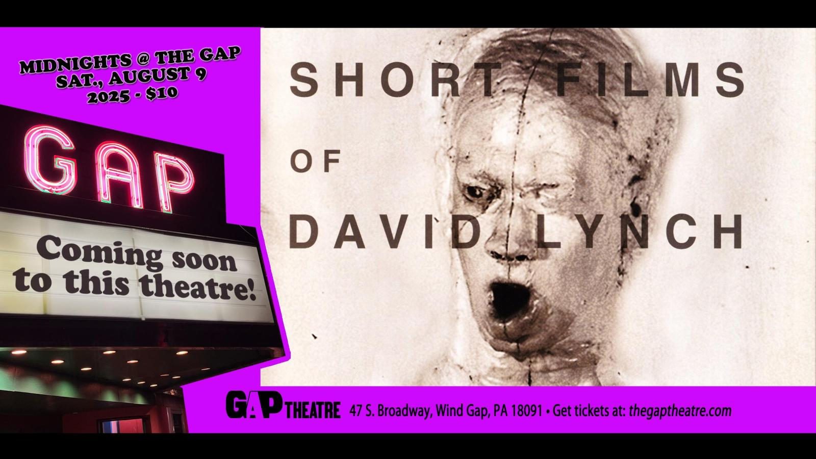 MIDNIGHTS AT THE GAP: THE SHORT FILMS OF DAVID LYNCH