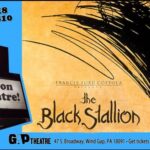 THE BLACK STALLION (1979) in 35mm