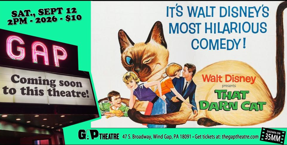 THAT DARN CAT (1965) in 35mm